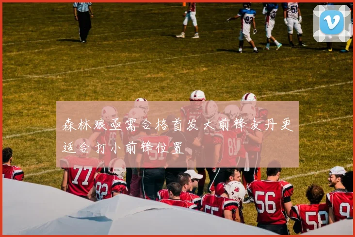 森林狼亟需合格首发大前锋麦丹更适合打小前锋位置